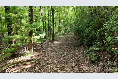 Lot 2 Hogback Mountain Road #2, Tryon, NC 28782 - Photo 18