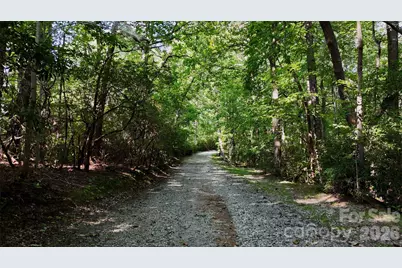 Lot 3 Hogback Mountain Road #3, Tryon, NC 28782 - Photo 8