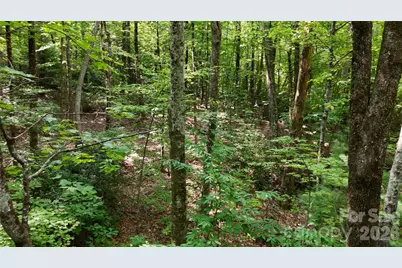 Lot 3 Hogback Mountain Road #3, Tryon, NC 28782 - Photo 16