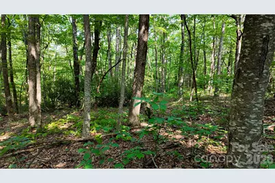 Lot 3 Hogback Mountain Road #3, Tryon, NC 28782 - Photo 6
