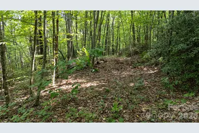 Lot 3 Hogback Mountain Road #3, Tryon, NC 28782 - Photo 20