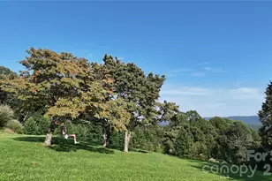 93 Orchard Hill, Saluda, NC 28773 - Photo 4