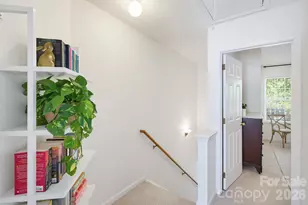 310 Ross Moore Ave, Charlotte, NC 28205 - Photo 26