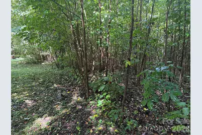 10 Lewis Lane #10, Maggie Valley, NC 28751 - Photo 24
