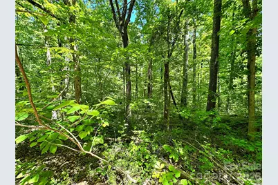 #168 Rolling Road, Lincolnton, NC 28092 - Photo 8