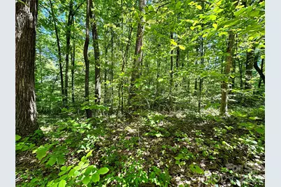 #168 Rolling Road, Lincolnton, NC 28092 - Photo 12
