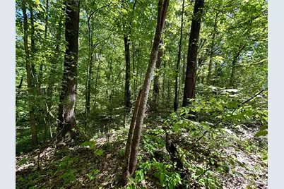 #168 Rolling Road, Lincolnton, NC 28092 - Photo 16