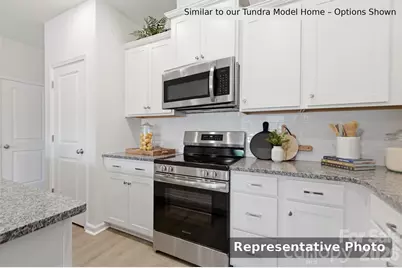 6617 Fire Lily Lane, Charlotte, NC 28216 - Photo 6