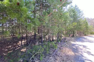 Next To 1670 Buck Oak Rd, Lincolnton, NC 28092 - Photo 1