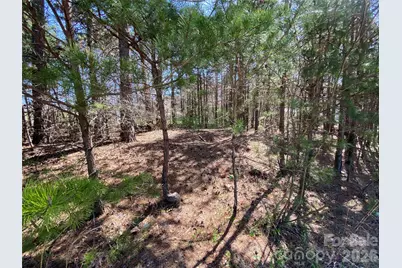 Next To 1670 Buck Oak Road, Lincolnton, NC 28092 - Photo 6