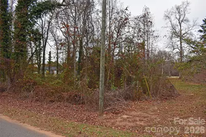 00 Horseshoe Lake Road, Lincolnton, NC 28092 - Photo 2