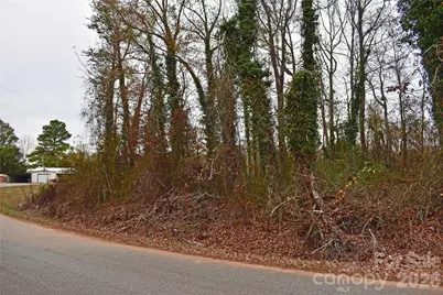 00 Horseshoe Lake Road, Lincolnton, NC 28092 - Photo 4