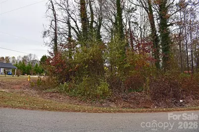 00 Horseshoe Lake Road, Lincolnton, NC 28092 - Photo 1