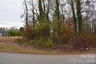 00 Horseshoe Lake Rd, Lincolnton, NC 28092 - Photo 1