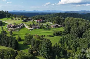 93 Orchard Hill, Saluda, NC 28773 - Photo 10