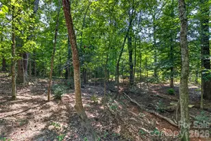 316 Oak Grove Rd, Landrum, SC 29356 - Photo 32