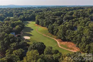 1068 Gauguin Ln, Tega Cay, SC 29708 - Photo 40