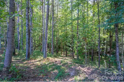 1551 Brevard Place Road, Iron Station, NC 28080 - Photo 46