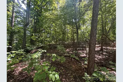 3924 Deer Run Drive NE, Conover, NC 28613 - Photo 16