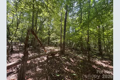 3924 Deer Run Drive NE, Conover, NC 28613 - Photo 18