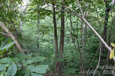 238 Bluff Lane, Salisbury, NC 28146 - Photo 22