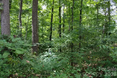 238 Bluff Lane, Salisbury, NC 28146 - Photo 20