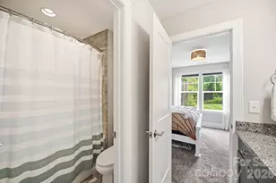 4219 Island Fox Ln, Denver, NC 28037 - Photo 24