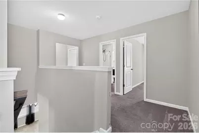 167 Sutters Mill Drive, Troutman, NC 28166 - Photo 18