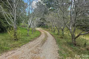 128 Lower Christ School Rd, Fletcher, NC 28732 - Photo 6