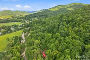 9 Candyland Ct, Candler, NC 28715 - Photo 36