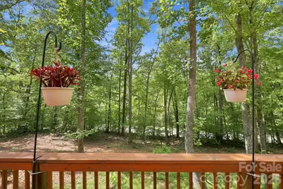 9 Candyland Court, Candler, NC 28715 - Photo 20