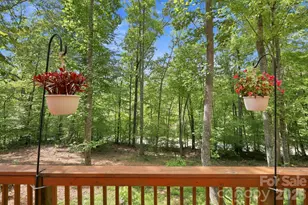 9 Candyland Ct, Candler, NC 28715 - Photo 20