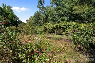 8721 Brookstead Meadow Ct, Charlotte, NC 28215 - Photo 40