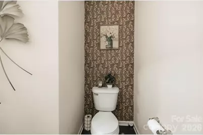 615 School House Lane, Fort Mill, SC 29708 - Photo 20