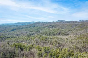 101 Ruffed Grouse Rd, Brevard, NC 28712 - Photo 4