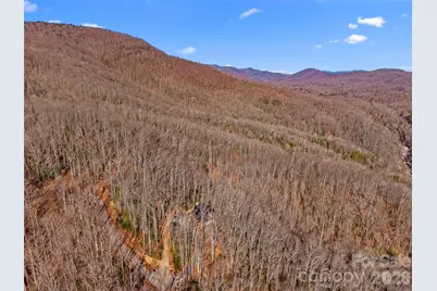 252 Idylwild Lane, Black Mountain, NC 28711 - Photo 38