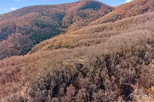 252 Idylwild Ln, Black Mountain, NC 28711 - Photo 36