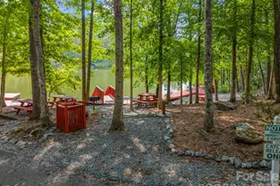 566 Nathan Mc Daniel Dr, Nebo, NC 28761 - Photo 38