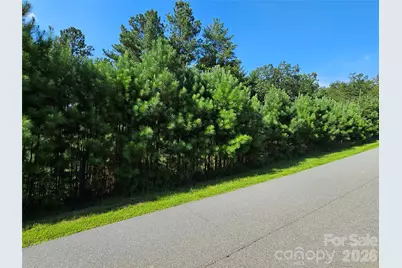 Tbd Coveside Drive #149, Granite Falls, NC 28630 - Photo 4