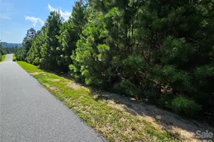 Tbd Coveside Dr, Granite Falls, NC 28630 - Photo 1