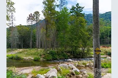 3050 Green River Cove Road, Saluda, NC 28773 - Photo 46