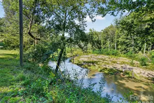 3050 Green River Cove Rd, Saluda, NC 28773 - Photo 42