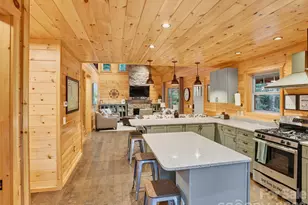 3050 Green River Cove Rd, Saluda, NC 28773 - Photo 6