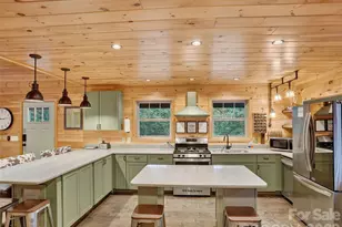 3050 Green River Cove Rd, Saluda, NC 28773 - Photo 8