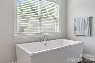 263 Forsythia Ln, Tega Cay, SC 29708 - Photo 24