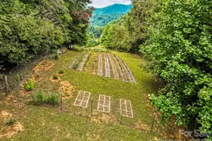 427 Hardscrabble Rd, Burnsville, NC 28714 - Photo 26