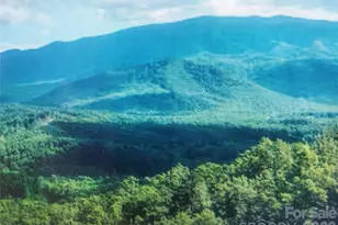 000 Justin Ridge, Clyde, NC 28721 - Photo 1