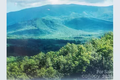 000 Justin Ridge #M, Clyde, NC 28721 - Photo 2