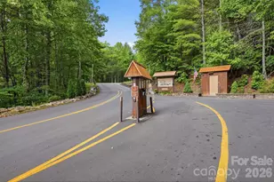 2235 Buck Mountain Rd, Purlear, NC 28665 - Photo 44