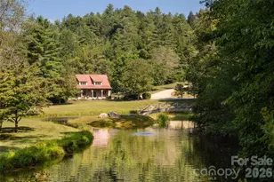 137 Bear Landing Dr, Hendersonville, NC 28792 - Photo 46